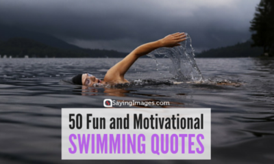 50 Fun And Motivational Swimming Quotes