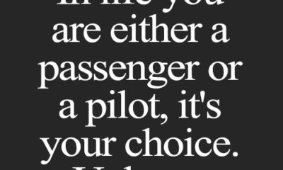 A Passenger Or A Pilot