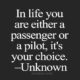 A Passenger Or A Pilot