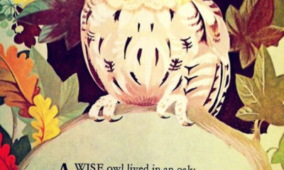 A Wise Owl