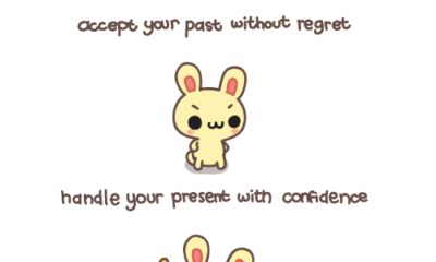 Accept Your Past