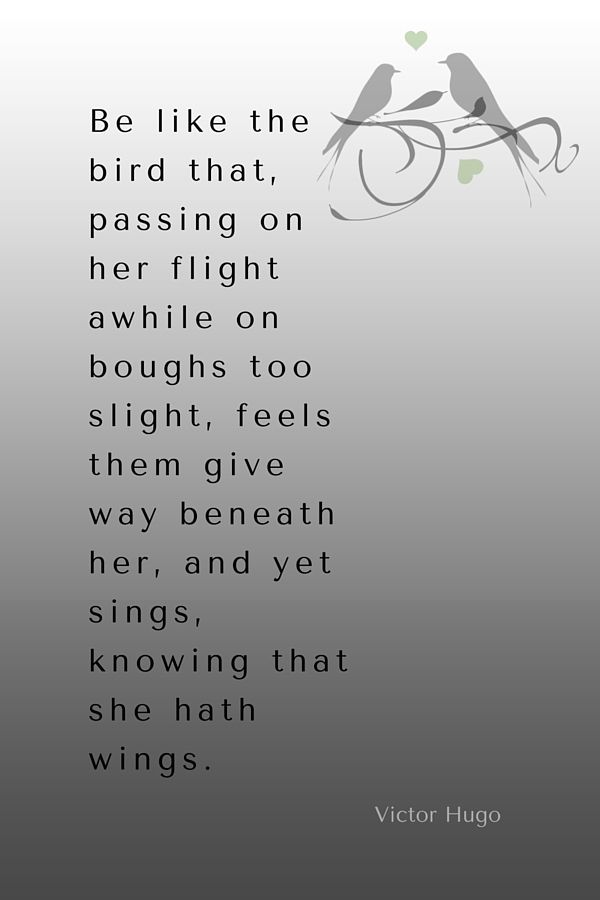 Be Like The Bird