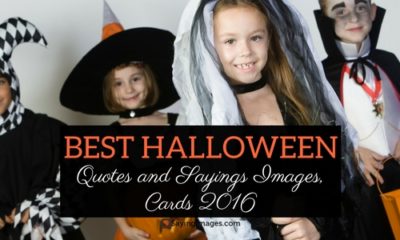 Best Halloween Quotes And Sayings Images Cards 2016