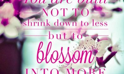 Blossom Into More