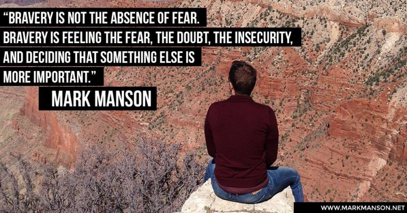 Bravery is not the absence of fear. Bravery is feeling the fear, the doubt, the insecurity, and deciding that something else is more important. - Mark Manson