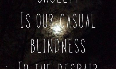 Casual Blindness