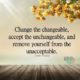 Change The Changeable