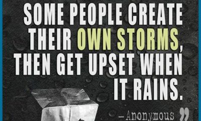 Create Storms