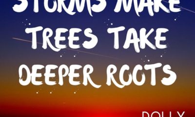 Deeper Roots