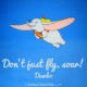 Dont Just Fly