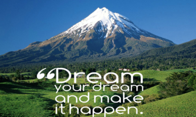 Dream Your Dream