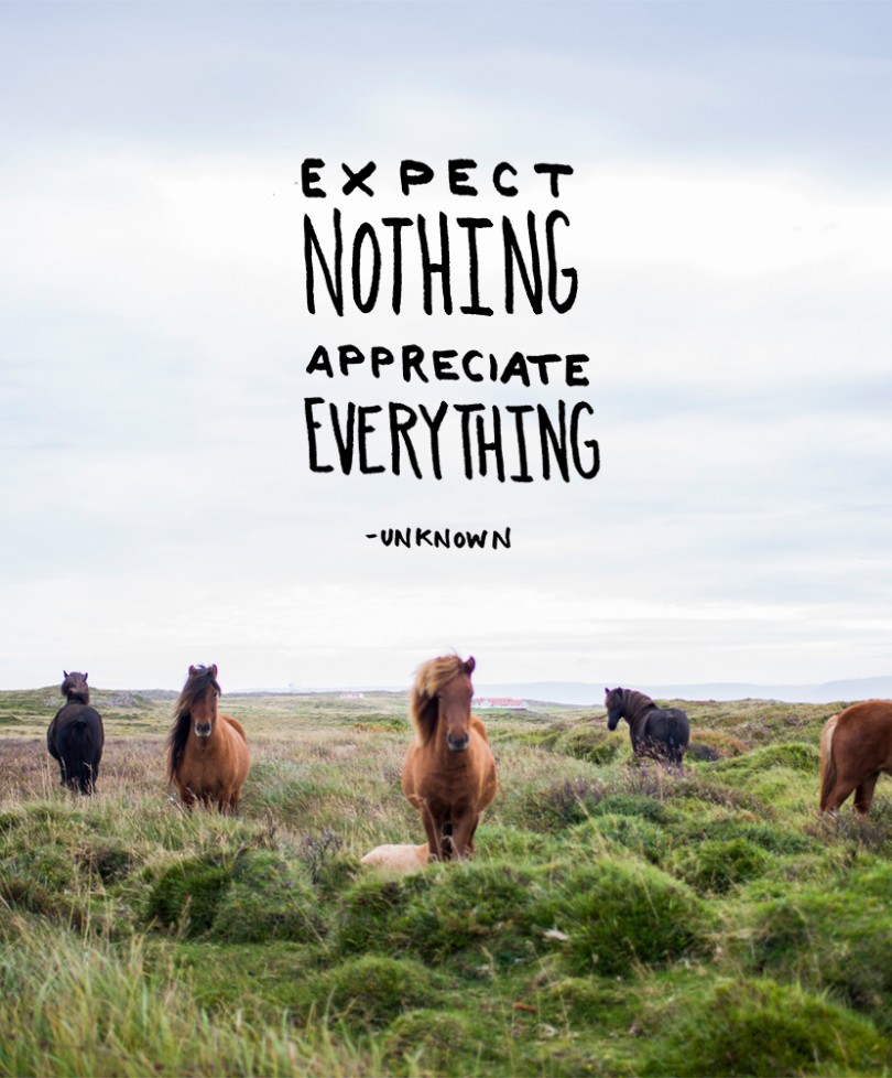 Expect nothing, appreciate everything.