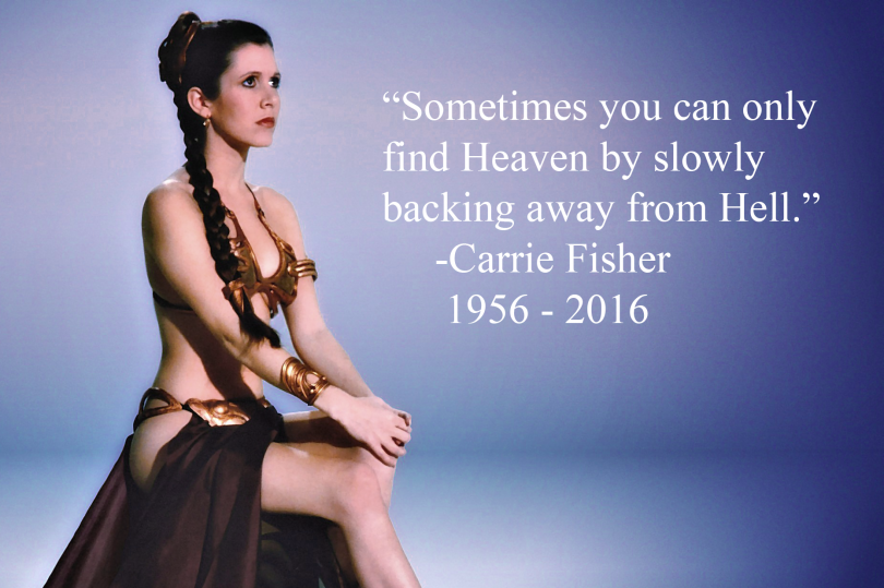 Sometimes you can only find Heaven by slowly backing away from Hell. - Carrie Fisher