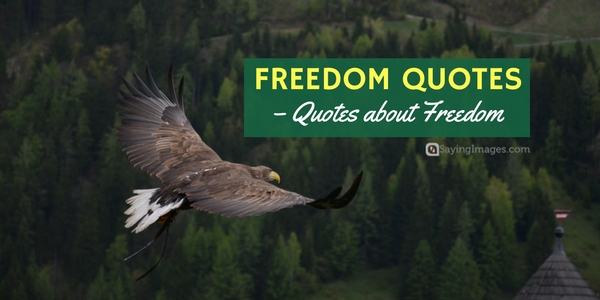 freedom-quotes