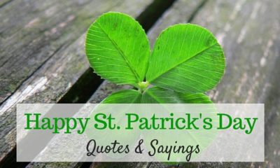 Happy St Patricks Day Quotes Sayings