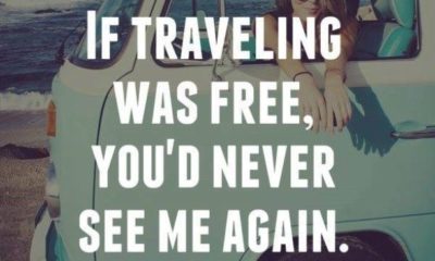 If Traveling Was Free