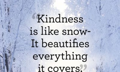 Kindness Is Like Snow