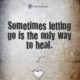 Letting Go