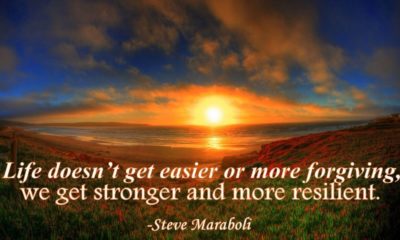 Life Doesnt Get Easier Steve Maraboli Daily Quotes Sayings Pictures