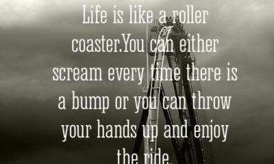 Life Is Like A Roller Coaster