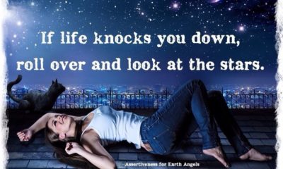 Life Knocks You Down