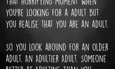 Looking For An Adult