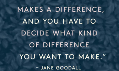 Make A Difference Jane Goodall Daily Quotes Sayings Pictures