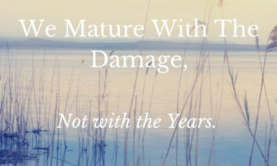 Mature With The Damage