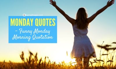 Monday Quotes Funny Monday Morning Quotation