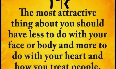 Most Attractive Thing