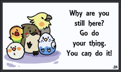 Motivational Birds