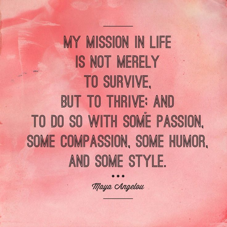 My Mission In Life