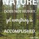 Nature Does Not Hurry