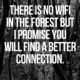 No Wifi In The Forest