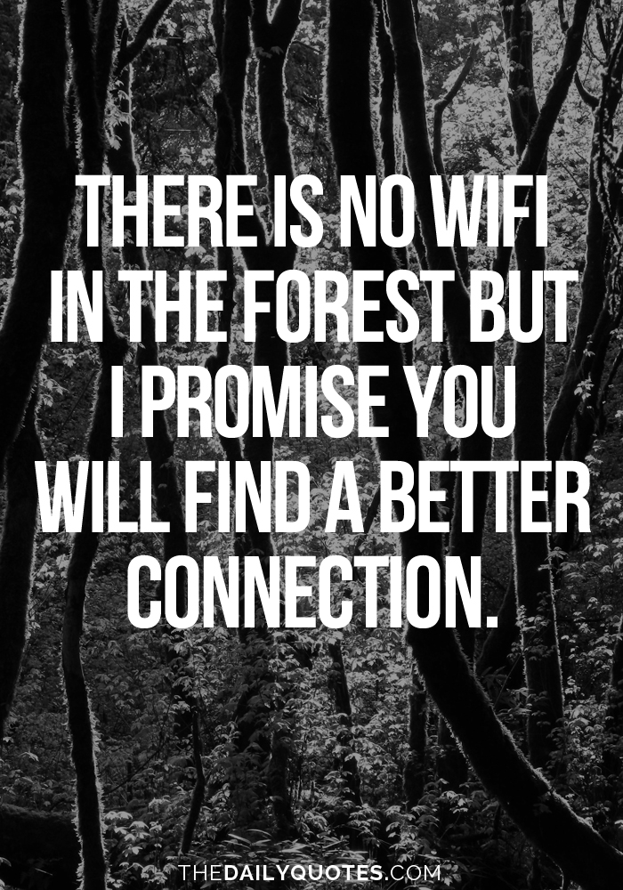 No Wifi In The Forest