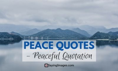 Peace Quotes Peaceful Quotation