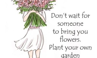 Plant Your Own Garden