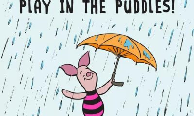 Play In The Puddles