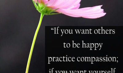 Practice Compassion