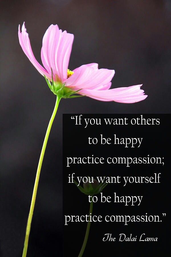 Practice Compassion