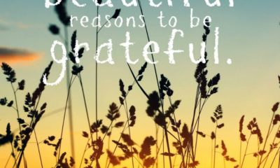 Reasons To Be Grateful