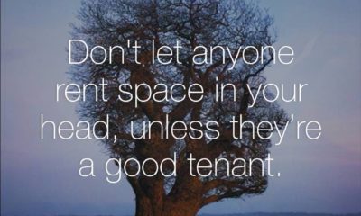 Rent Space Head Life Daily Quotes Sayings Pictures