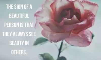 See The Beauty In Others