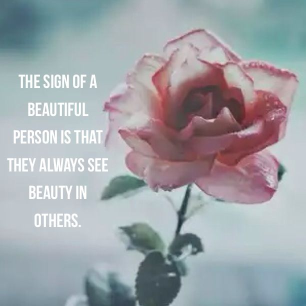See The Beauty In Others