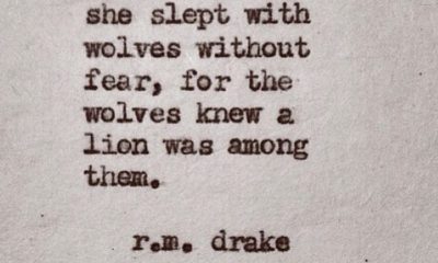 Slept With Wolves