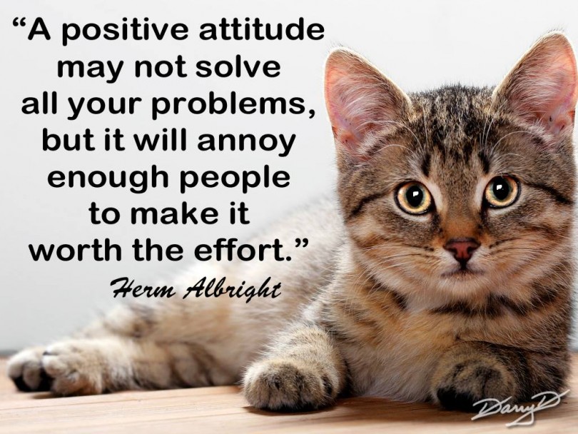 A positive attitude may not solve your problems, but it will annoy enough people to make it worth the effort. - Herm Albright