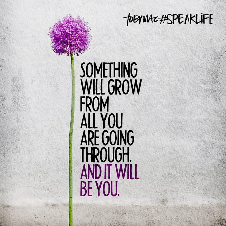 Something Will Grow