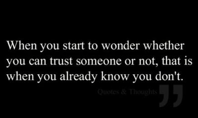 Start To Wonder