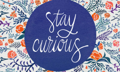 Stay Curious