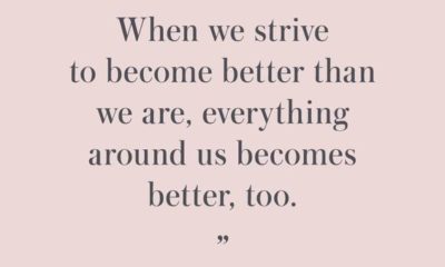 Strive To Become Better